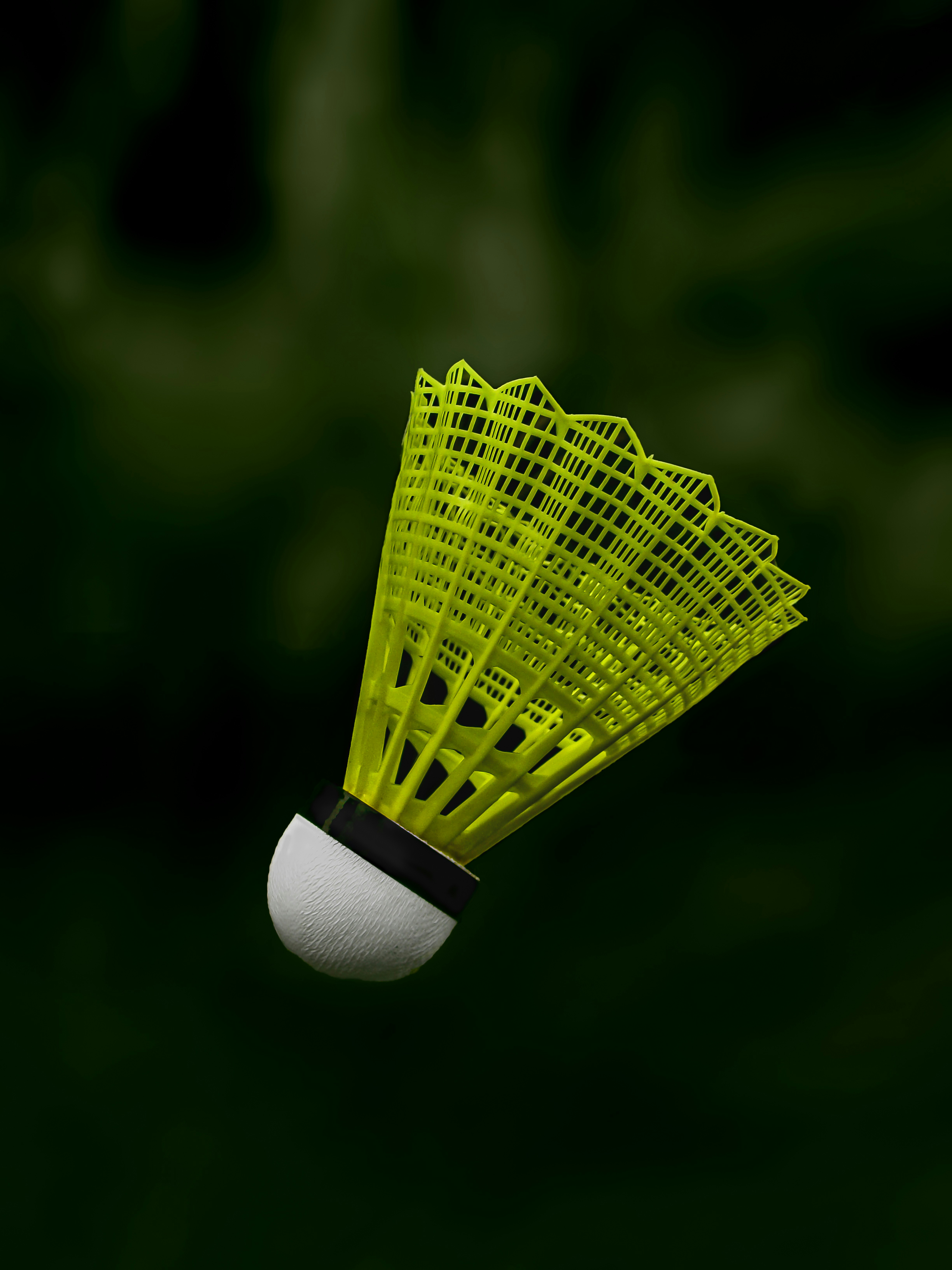 Sky City Badminton Premier League